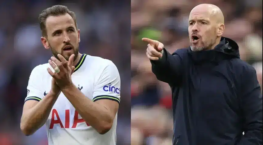 A Wounded Animal: The Tottenham Response