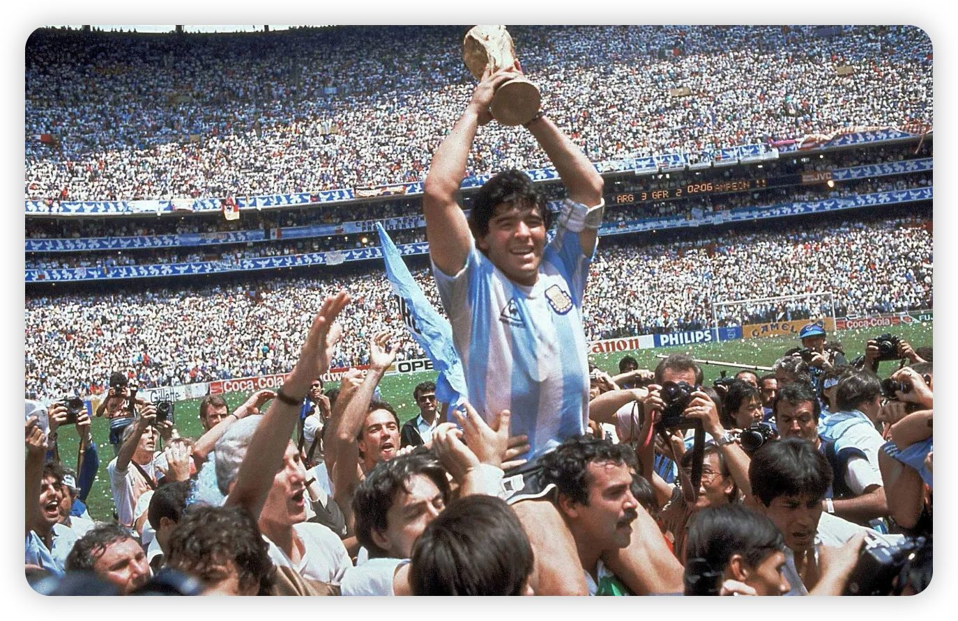 The Investigation Findings