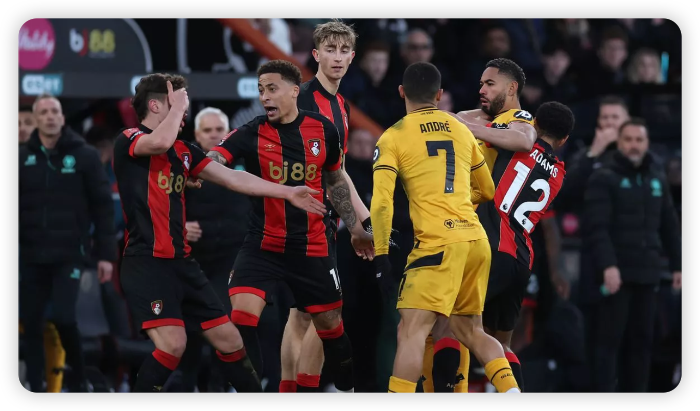 Wolves' Survival Bid Hangs in the Balance